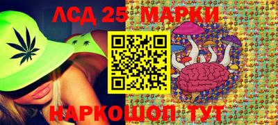 гидропоника Краснознаменск