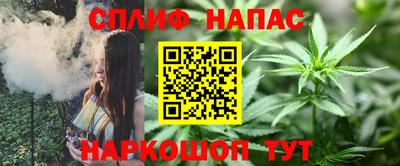 гидропоника Краснознаменск