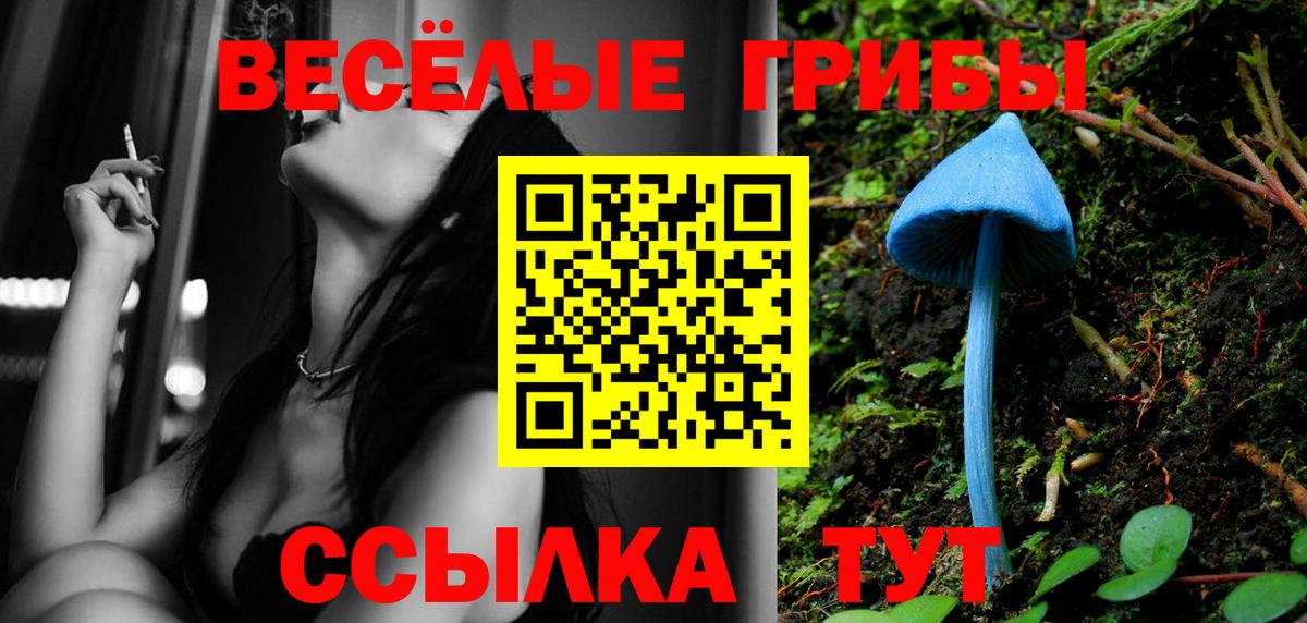  COCAIN Костомукша