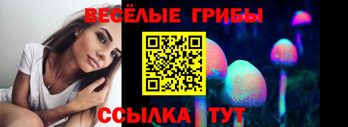 Галлюциногенные грибы прущие грибы  купить   Костомукша  Вход с VPN 